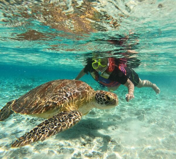 Schnorchelausflug in Marsa Alam - lovely traveli .