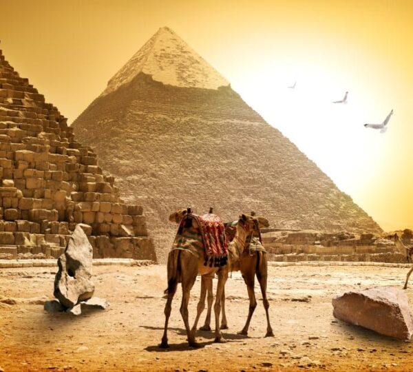 Privater Ausflüge nach Ägyptenvon hurghad - lovely traveli .