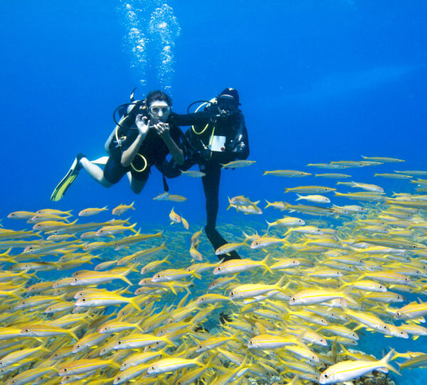 Intro Diving - Tauchen für Anfänger