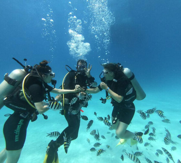 Intro Diving - Tauchen für Anfänger