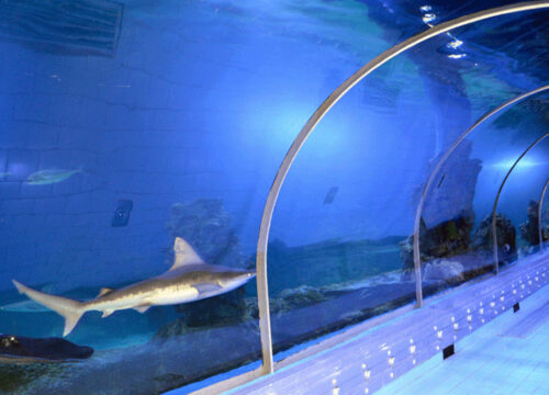 Eintrittskarte zum Hurghada Grand Aquarium