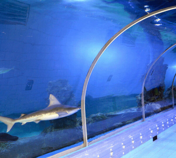 Hurghada Grand Aquarium