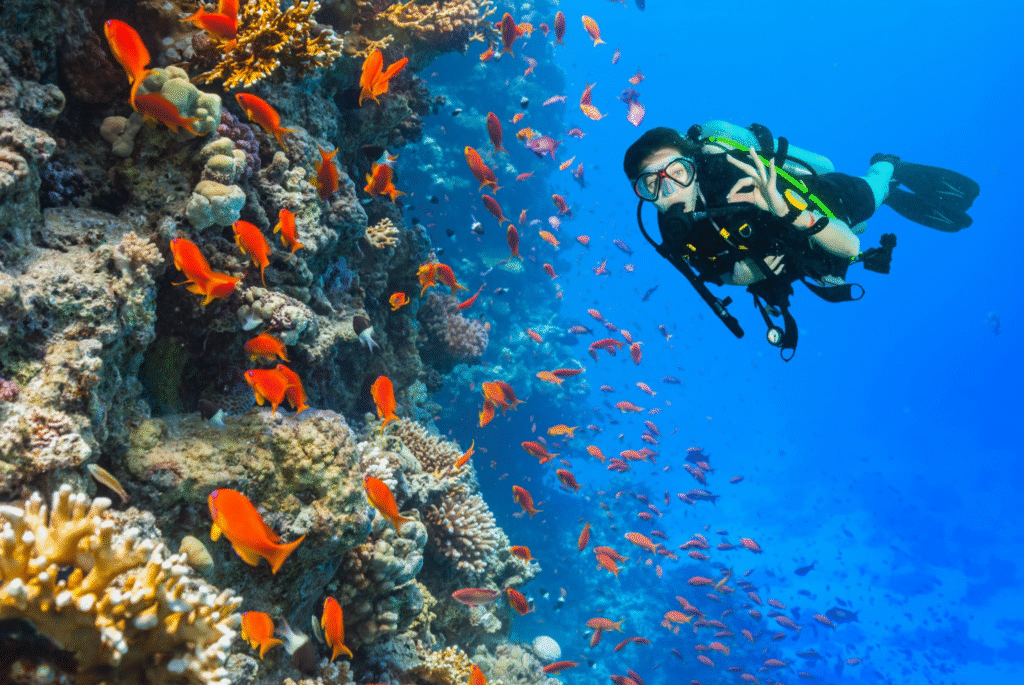 Tauchen im Roten Meer während Abenteuerreisen in Ägypten