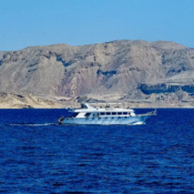 auchen im Roten Meer – beste Reisezeit Ägypten