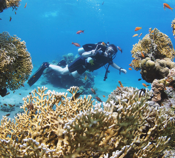 Schnorcheln im Roten Meer bei Marsa Alam