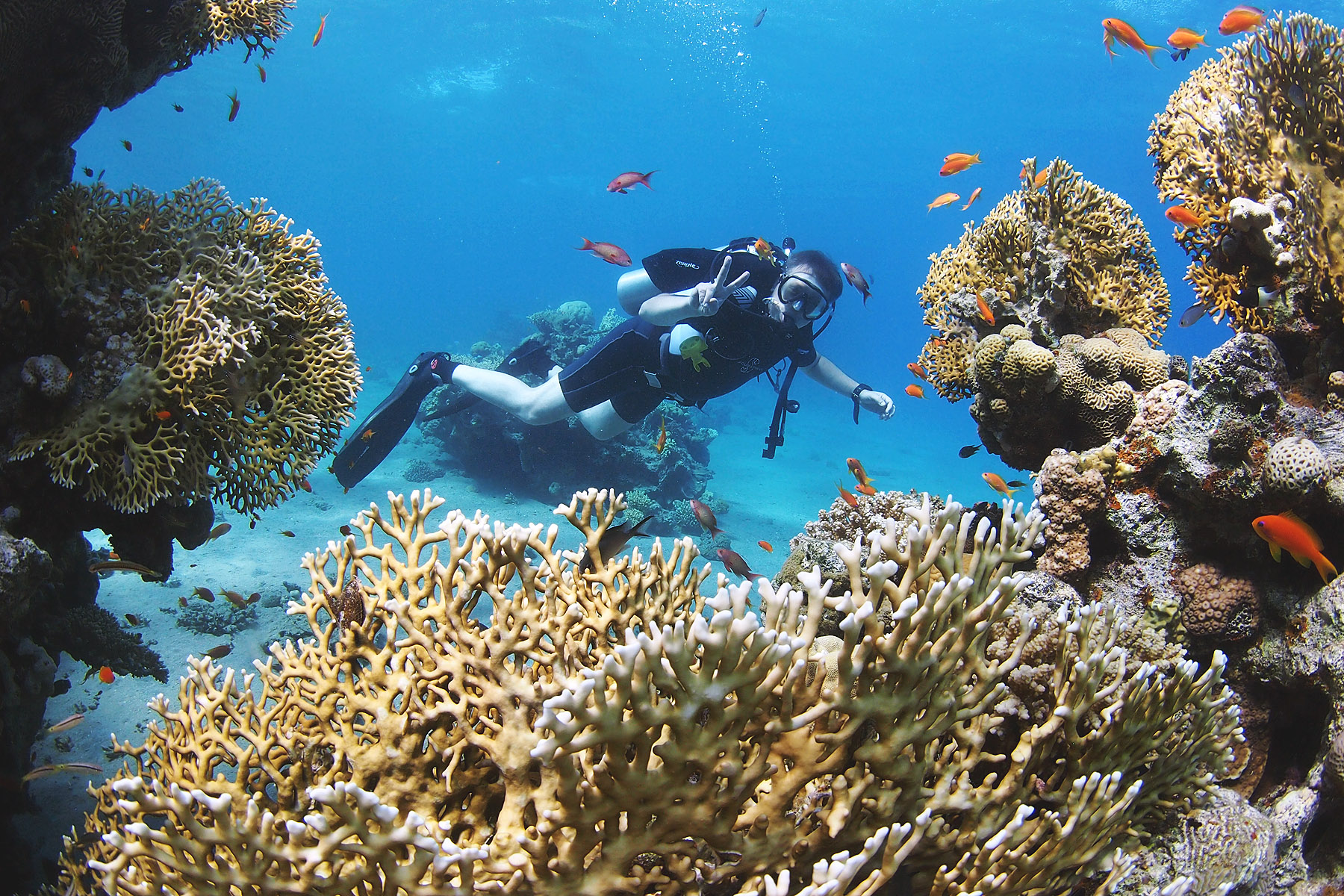 Schnorcheln im Roten Meer bei Marsa Alam
