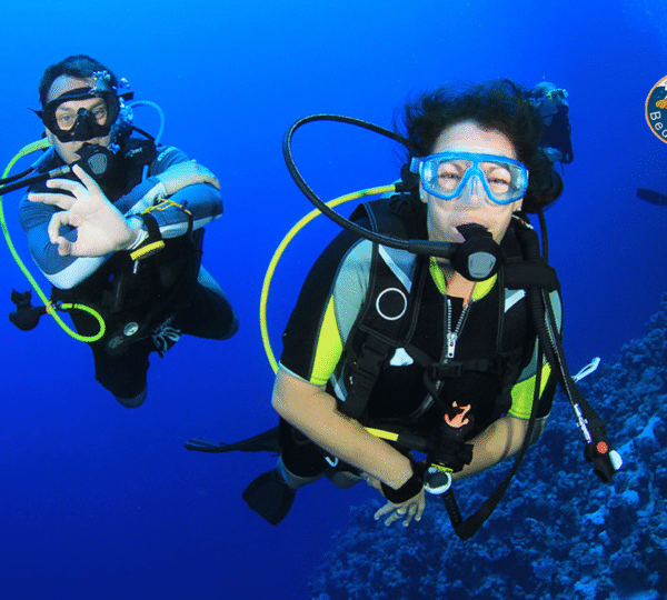 Tipps zur Vermeidung von Fehlern bei Ausflug-Buchungen in Ägypten