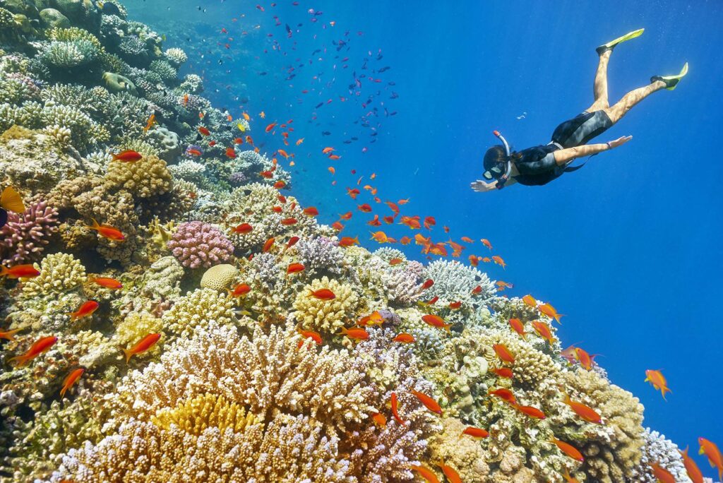 Inselausflug Hurghada – Schnorcheln im Roten Meer