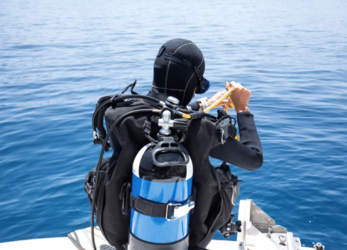 Abenteuer unter Wasser: Warum Tauchen im Roten Meer ein Muss ist
