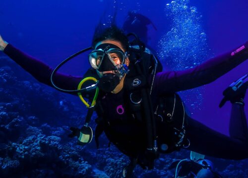 In die Tiefe eintauchen: Wie das Rote Meer jeden Tauchgang zu einem echten Abenteuer macht